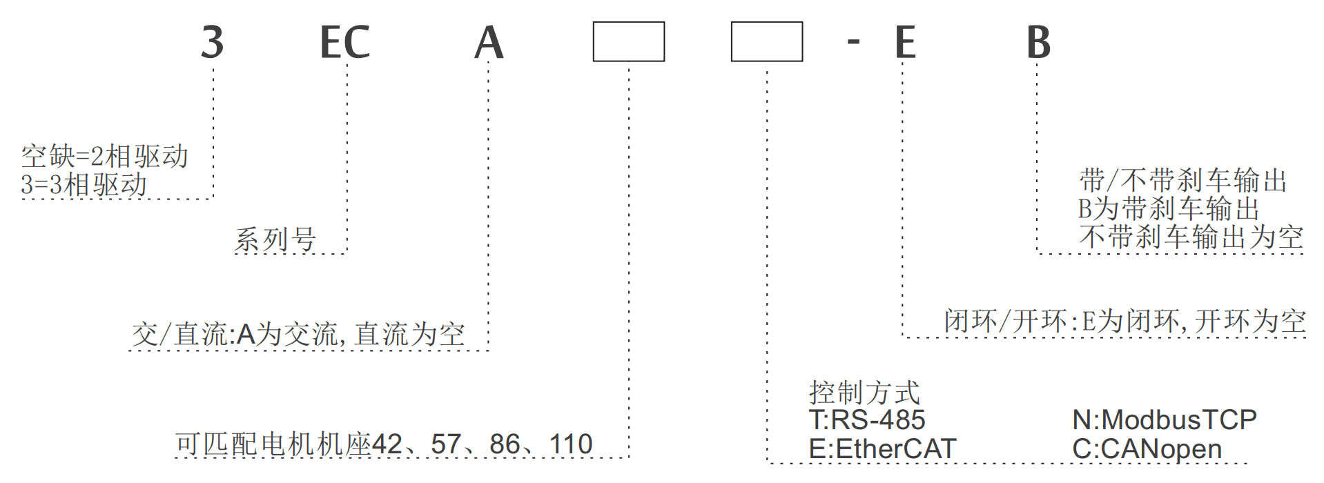 ѡ