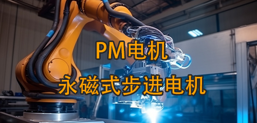 PM-ʽ
